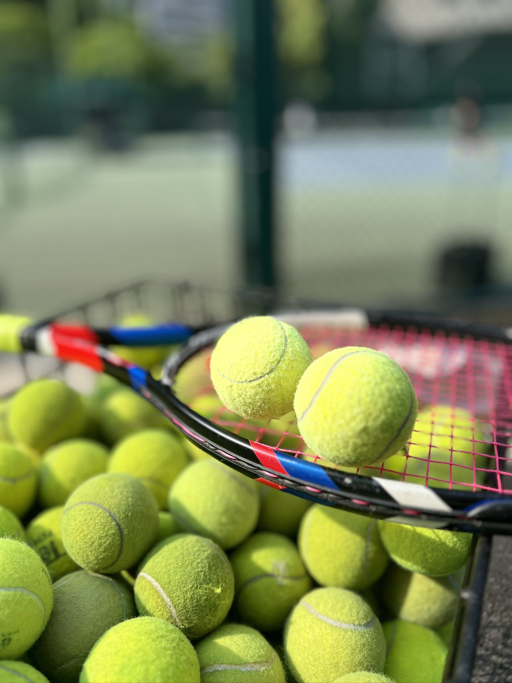 主题探讨 主题探讨