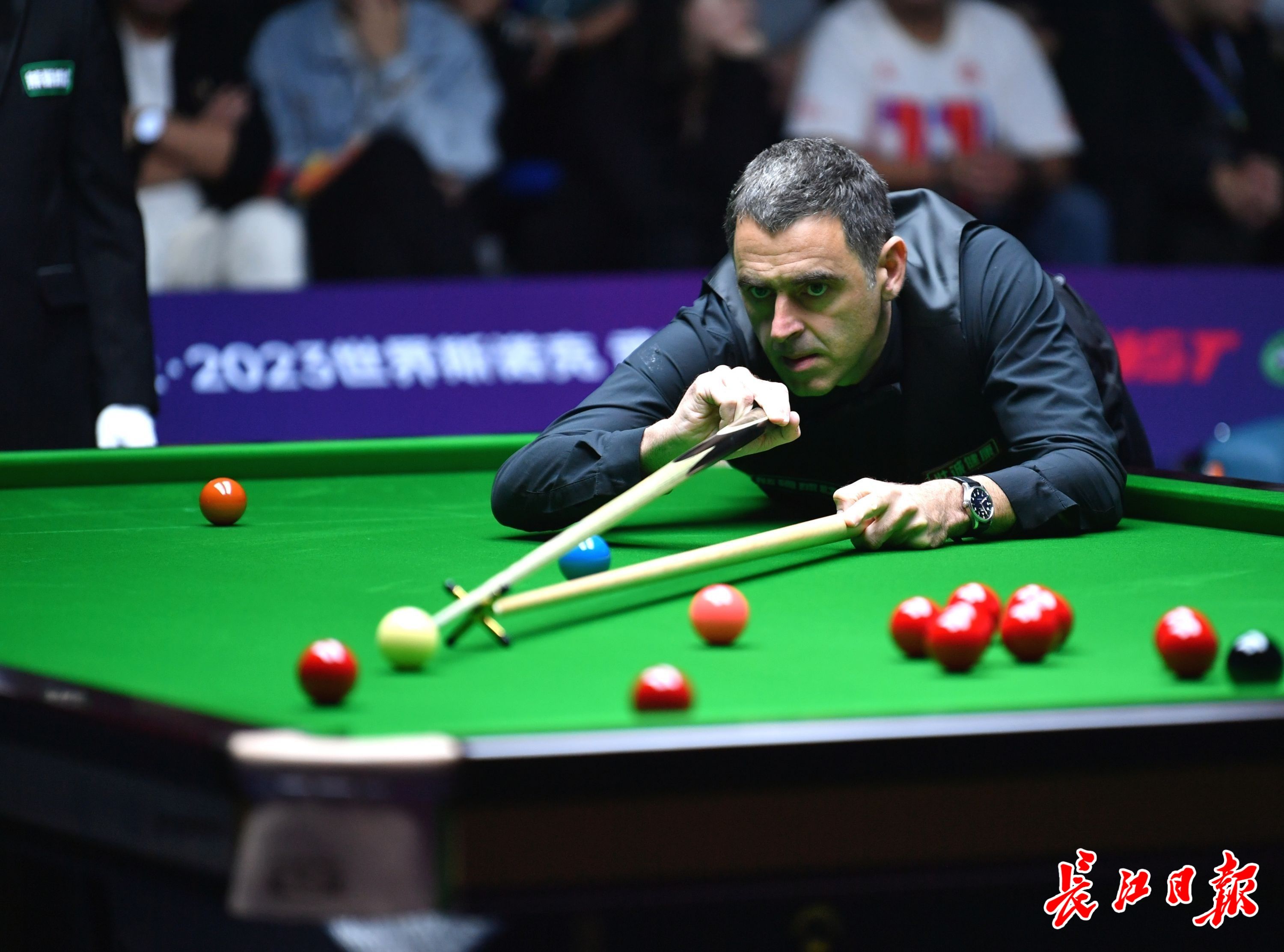 季后赛窗口 季后赛窗口